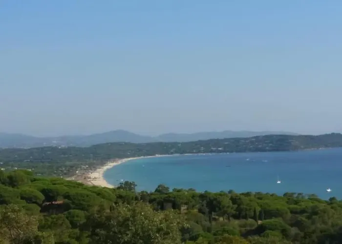 Les Vignes Et La Pinede Pres De La Plage