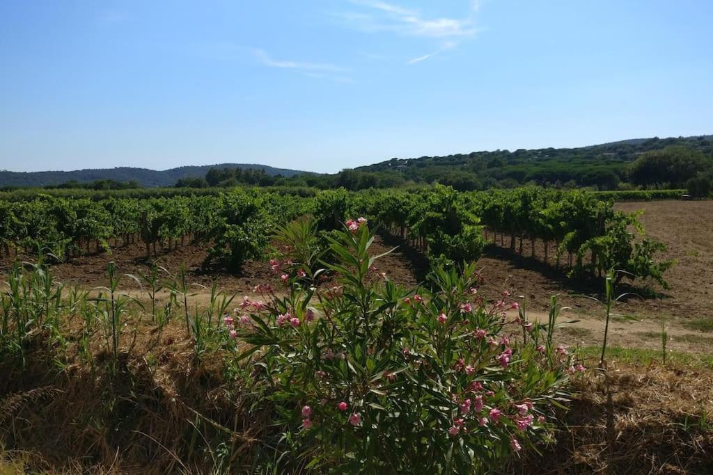 Apartment Les Vignes Et La Pinede Pres De La